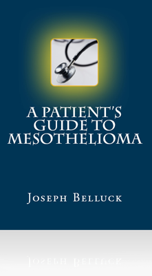 Free Meso Book - A Patient's Guide to Mesothelioma